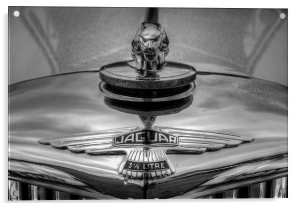 Classic Jaguar Car Acrylic by David Pyatt