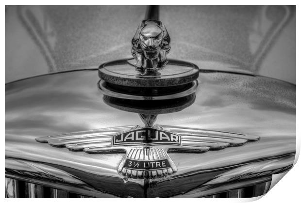 Classic Jaguar Car Print by David Pyatt