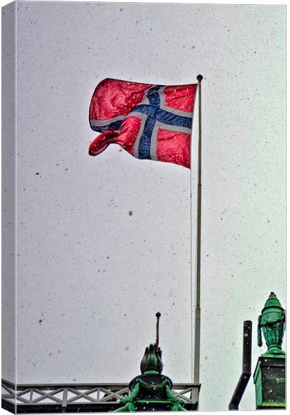  Norwegian Flag Canvas Print by Valerie Paterson