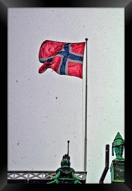  Norwegian Flag Framed Print by Valerie Paterson