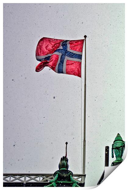  Norwegian Flag Print by Valerie Paterson