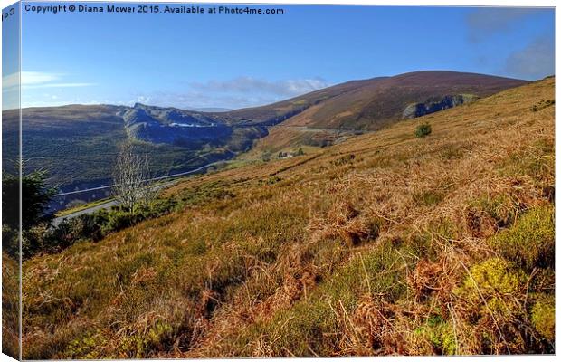  Horseshoe Pass Canvas Print by Diana Mower