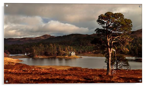 Glen Affric Acrylic by Macrae Images