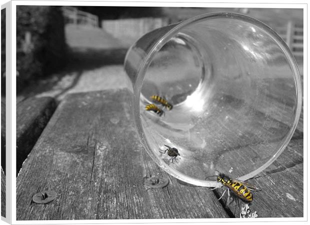 its a wasp life Canvas Print by Alexia Miles