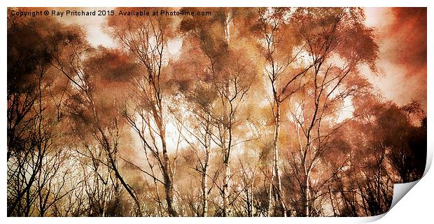  Textured Trees Print by Ray Pritchard