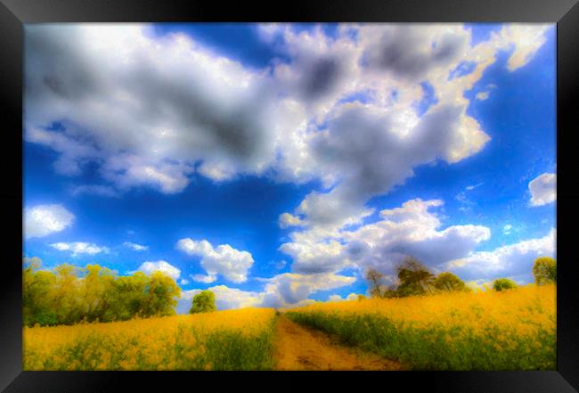  The Farm Art Vista Framed Print by David Pyatt