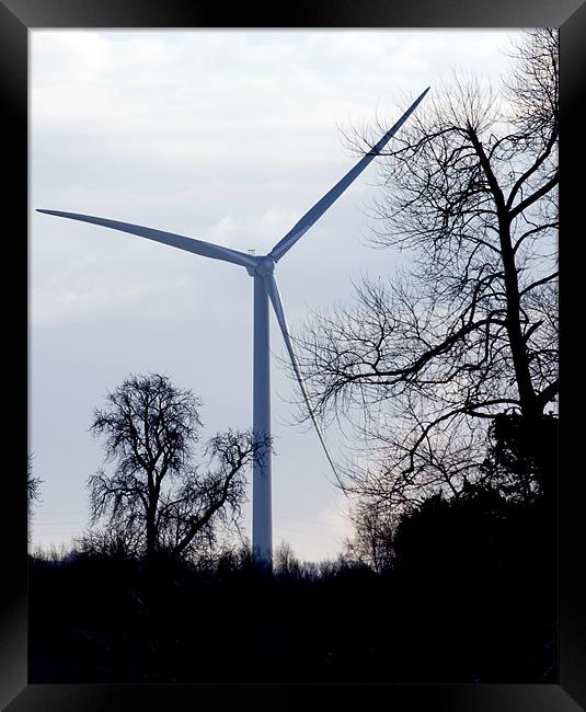 Wind Turbine through Trees Framed Print by David Moate