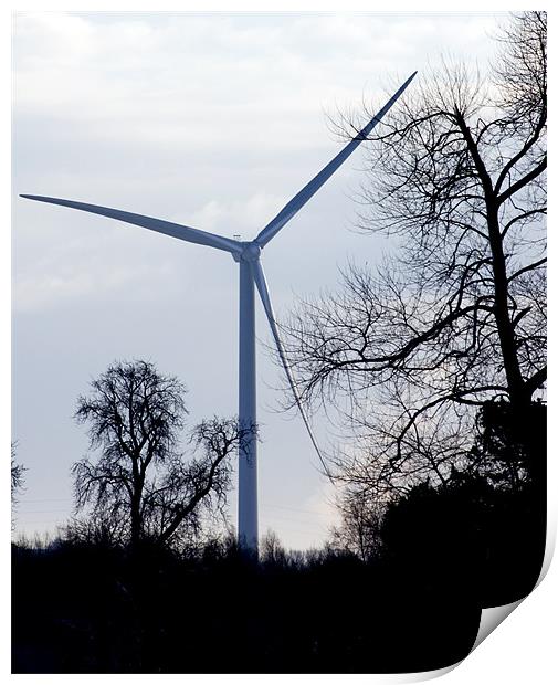 Wind Turbine through Trees Print by David Moate
