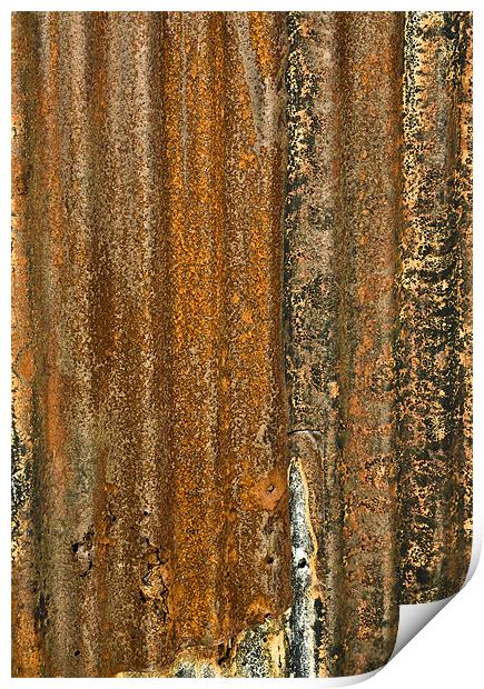 The Colour of Rust Print by Mike Gorton