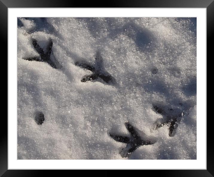 Footsteps in the Snow Framed Mounted Print by Rebecca Price