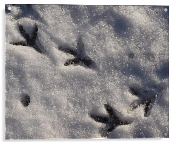 Footsteps in the Snow Acrylic by Rebecca Price