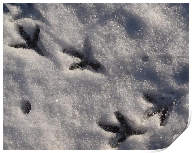 Footsteps in the Snow Print by Rebecca Price