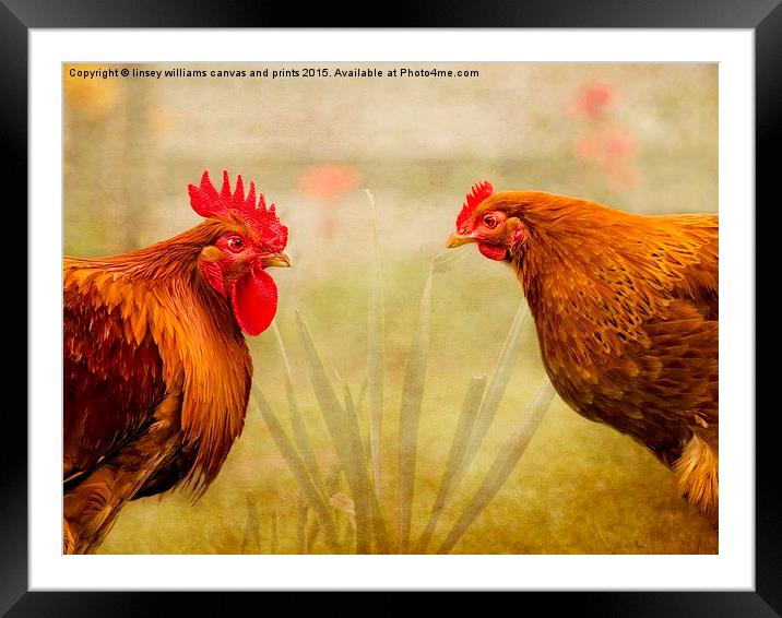  Hen Party, Do You Come Here Often? Framed Mounted Print by Linsey Williams