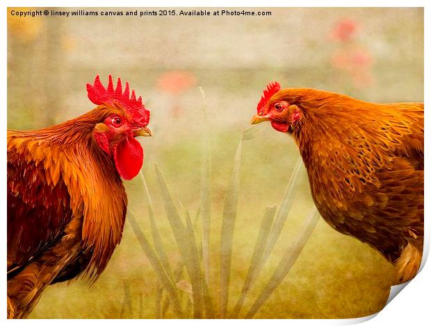  Hen Party, Do You Come Here Often? Print by Linsey Williams