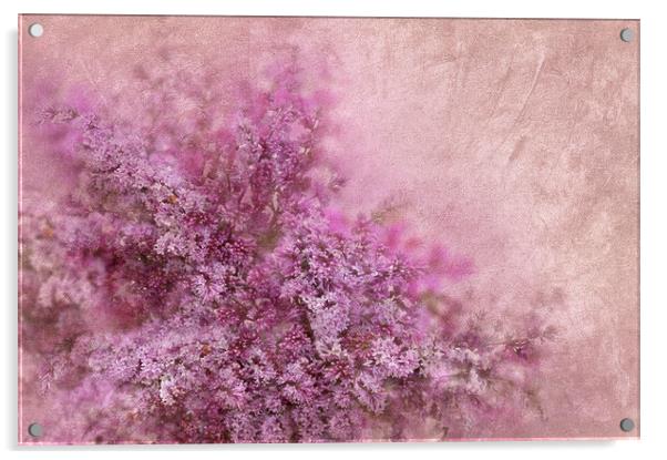  Lilac  Acrylic by Svetlana Sewell