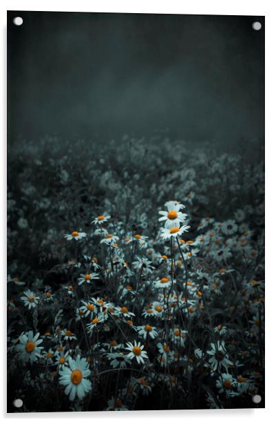  Dark beauty of Daisy Acrylic by Svetlana Sewell