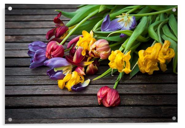  Last breath of Tulips Acrylic by Svetlana Sewell