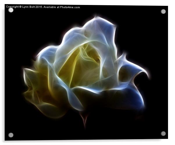 Rose Acrylic by Lynn Bolt