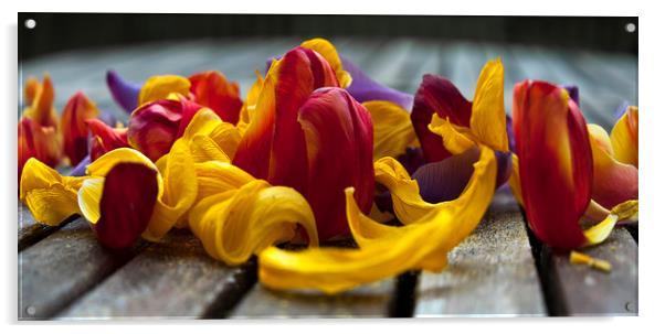  Petals close up Acrylic by Svetlana Sewell