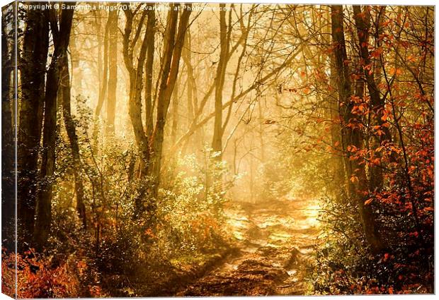  Light To My Path Canvas Print by Samantha Higgs
