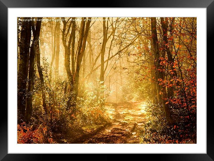  Light To My Path Framed Mounted Print by Samantha Higgs