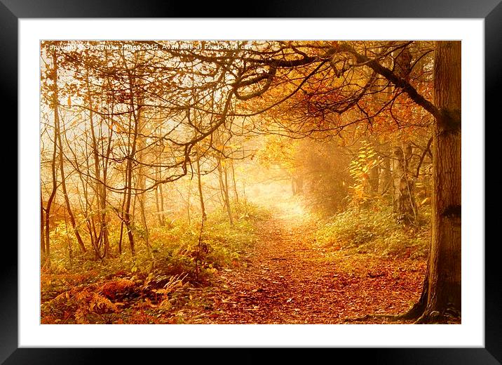  Autumn Woodland Framed Mounted Print by Samantha Higgs