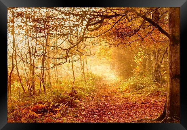  Autumn Woodland Framed Print by Samantha Higgs