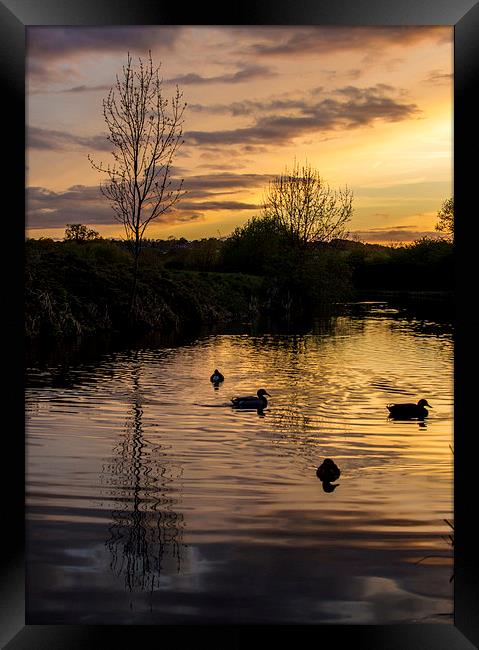  Evening on the water Framed Print by Laura Kenny