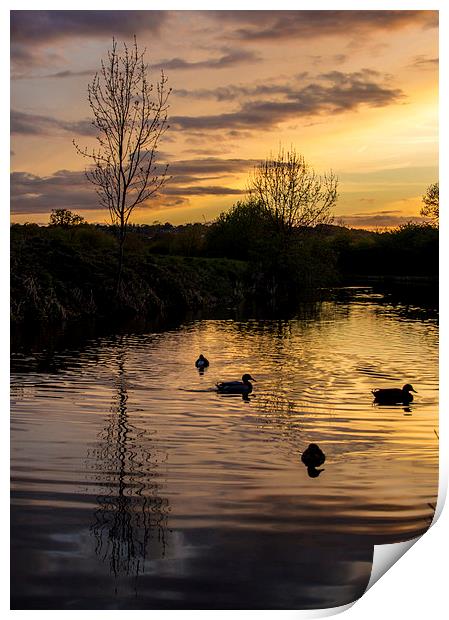  Evening on the water Print by Laura Kenny