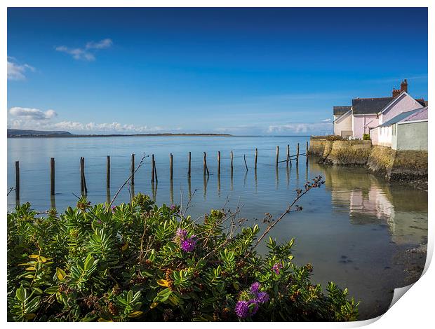 Waterfront Cottages, Aberdovey, Gwynedd, Wales, UK Print by Mark Llewellyn