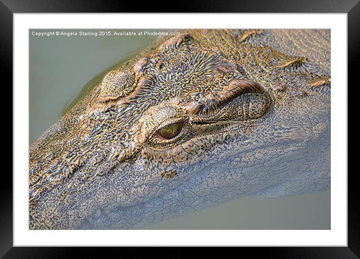  African Crocodile Framed Mounted Print by Angela Starling