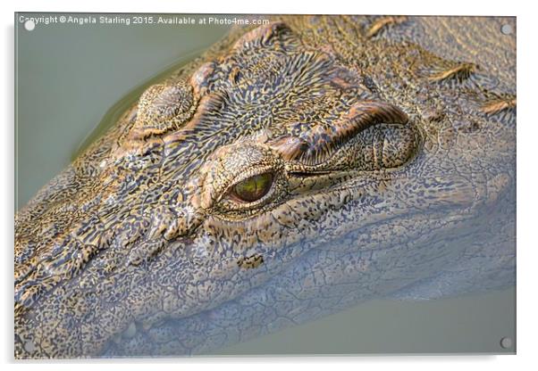  African Crocodile Acrylic by Angela Starling
