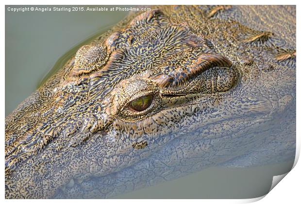  African Crocodile Print by Angela Starling