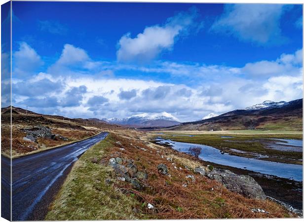 Wester Ross Trail Canvas Print by Ellie Rose