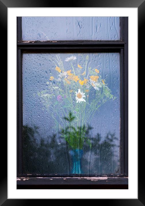  Safe from Rain Framed Mounted Print by Svetlana Sewell