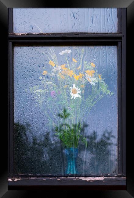  Safe from Rain Framed Print by Svetlana Sewell