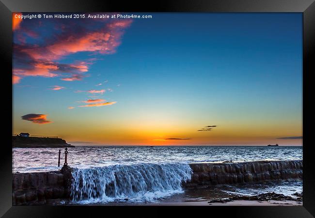 Gloriuos sunrise over Cullercoats Framed Print by Tom Hibberd