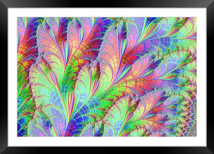 Tropical Palms Framed Mounted Print by Steve Purnell