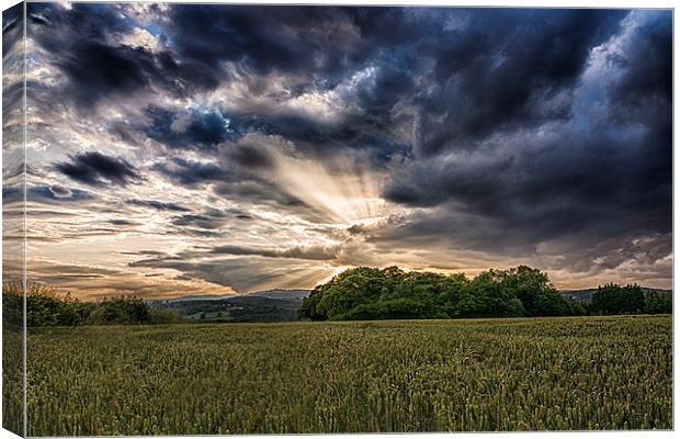  The setting sunrays Canvas Print by Andrew Richards