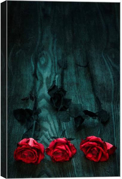  Three Roses Canvas Print by Svetlana Sewell