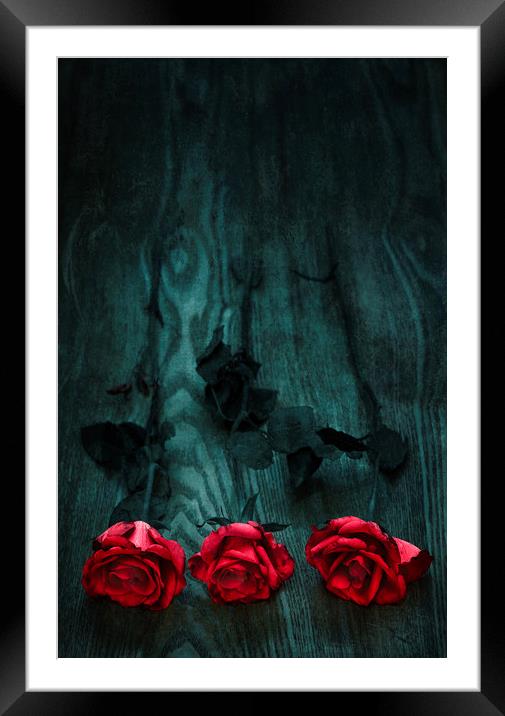  Three Roses Framed Mounted Print by Svetlana Sewell