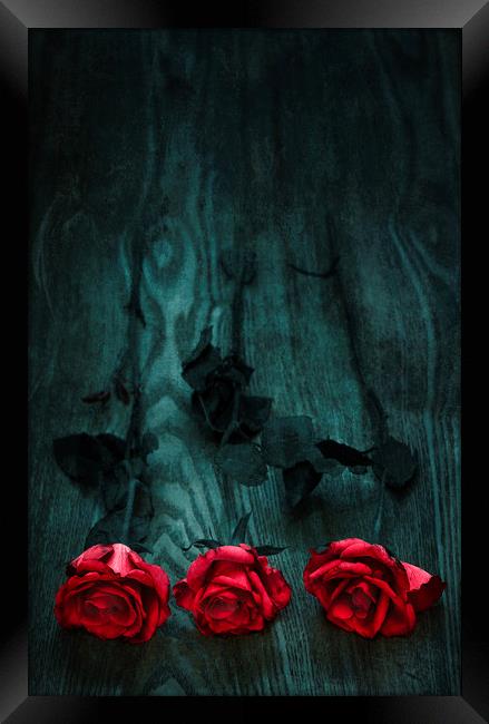  Three Roses Framed Print by Svetlana Sewell