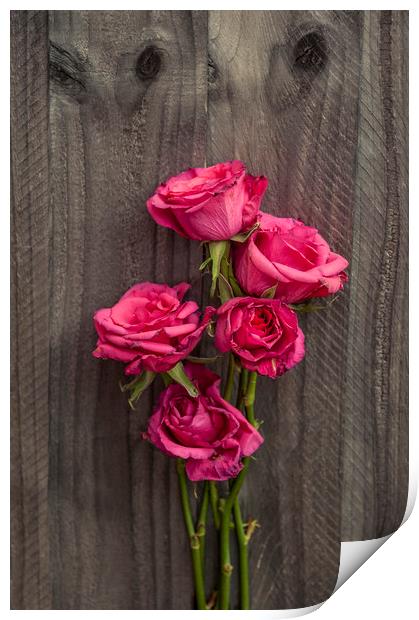  Bouquet of Roses Print by Svetlana Sewell