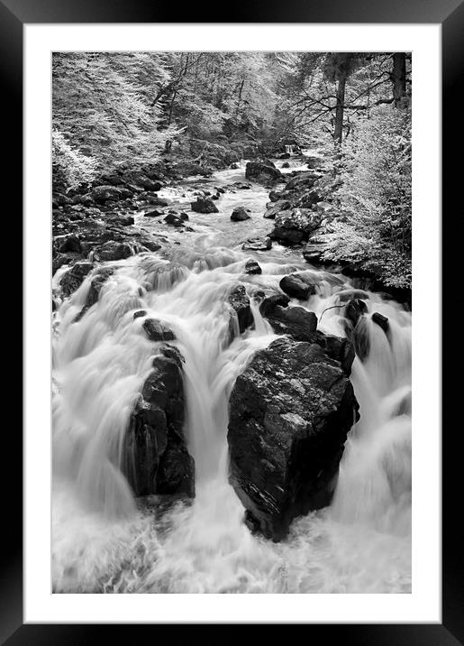  Force of Nature Framed Mounted Print by Svetlana Sewell
