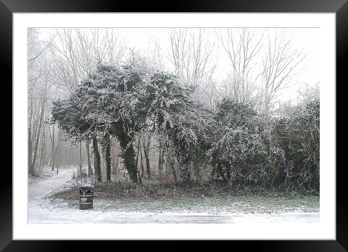 Winter Hedge Framed Mounted Print by Karen Martin