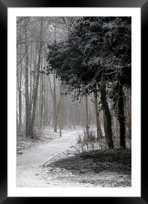 Winter Path Framed Mounted Print by Karen Martin