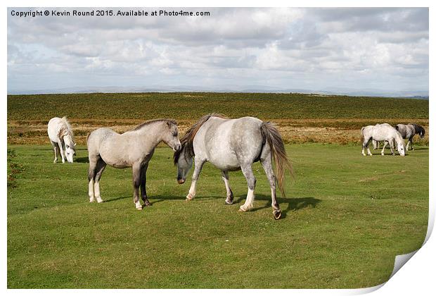 Wild horses on the Gower Peninsula in Wales, UK Print by Kevin Round