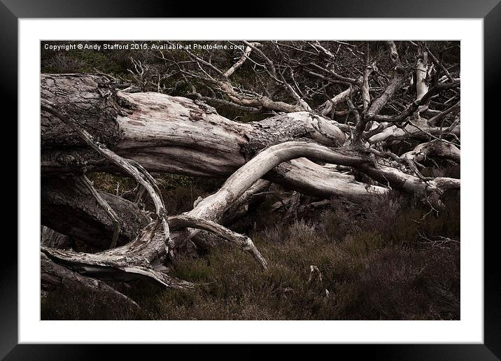  Fallen Trees Framed Mounted Print by Andy Stafford