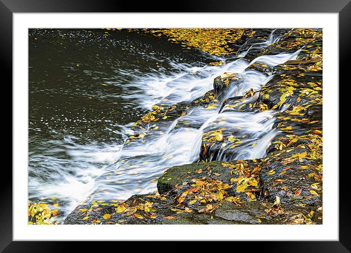  Autumn at Jesmond Dene, Newcastle upon Tyne Framed Mounted Print by John Edgar