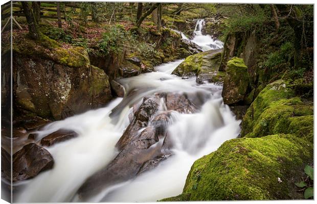  Whillan Beck, Lake District Canvas Print by Andy McGarry